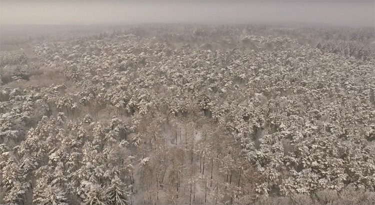 Sneeuw Leersumse bossen gefilmd met DJI Phantom 3 Advanced