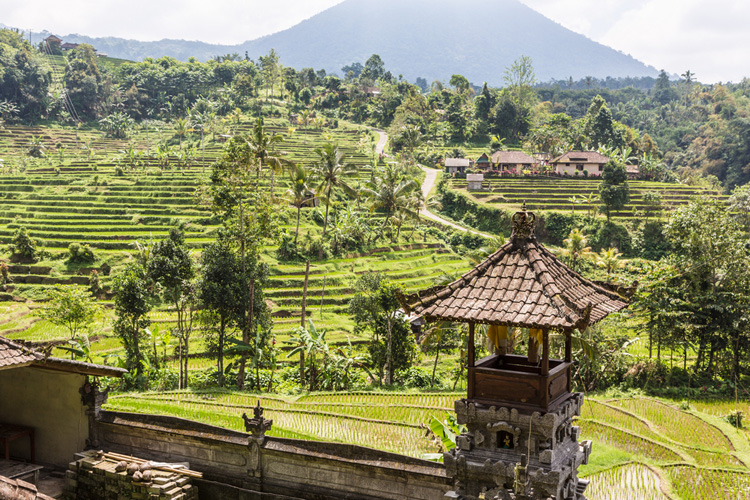 Jatiluwih rijstvelden in Bali gefilmd met DJI Phantom 3 Advanced