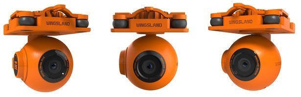 wingsland-scarlet-minivet-full-hd-camera