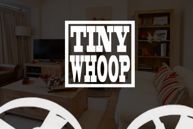 TinyWhoops door de Utrechtse woonwijk